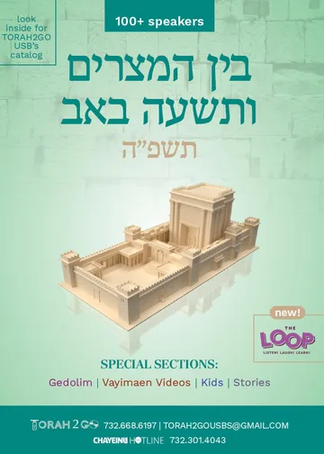 3 Weeks and Tisha Ba’av 5785