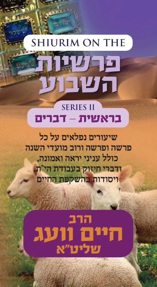 R’ Chaim Weg Chumash Series 2