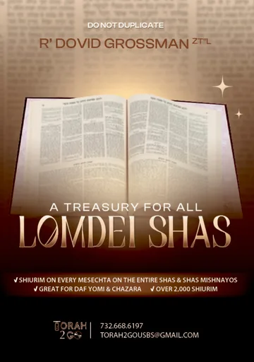 R’ Dovid Grossman Full Shas and Mishnayos Collection