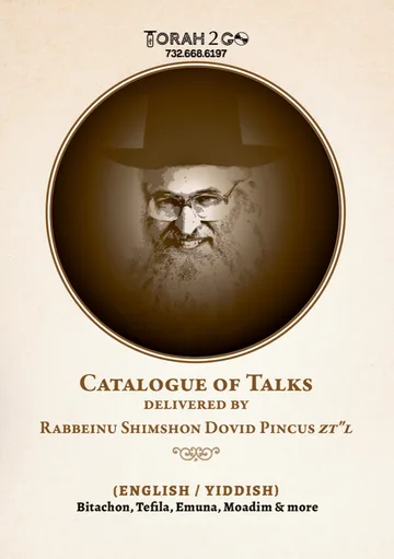 Rav Shimshon Pincus zt"l
