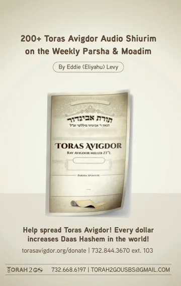 Toras Avigdor-Four Years of Chumash Plus Moadim