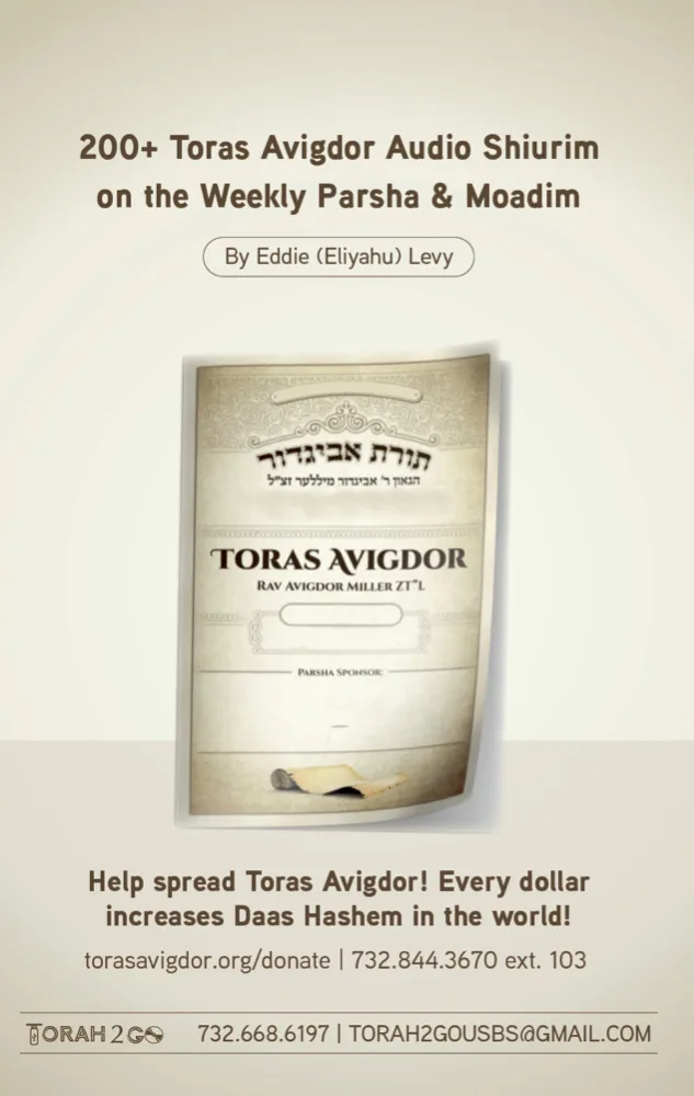 Toras Avigdor-Four Years of Chumash Plus Moadim
