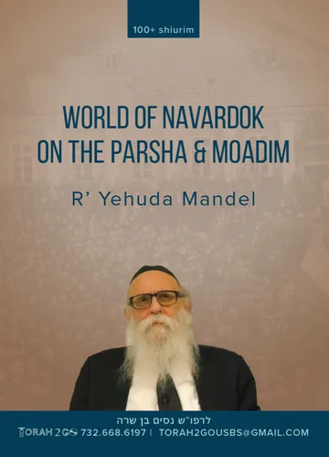 World Of Navardok On The Parshah and Moadim